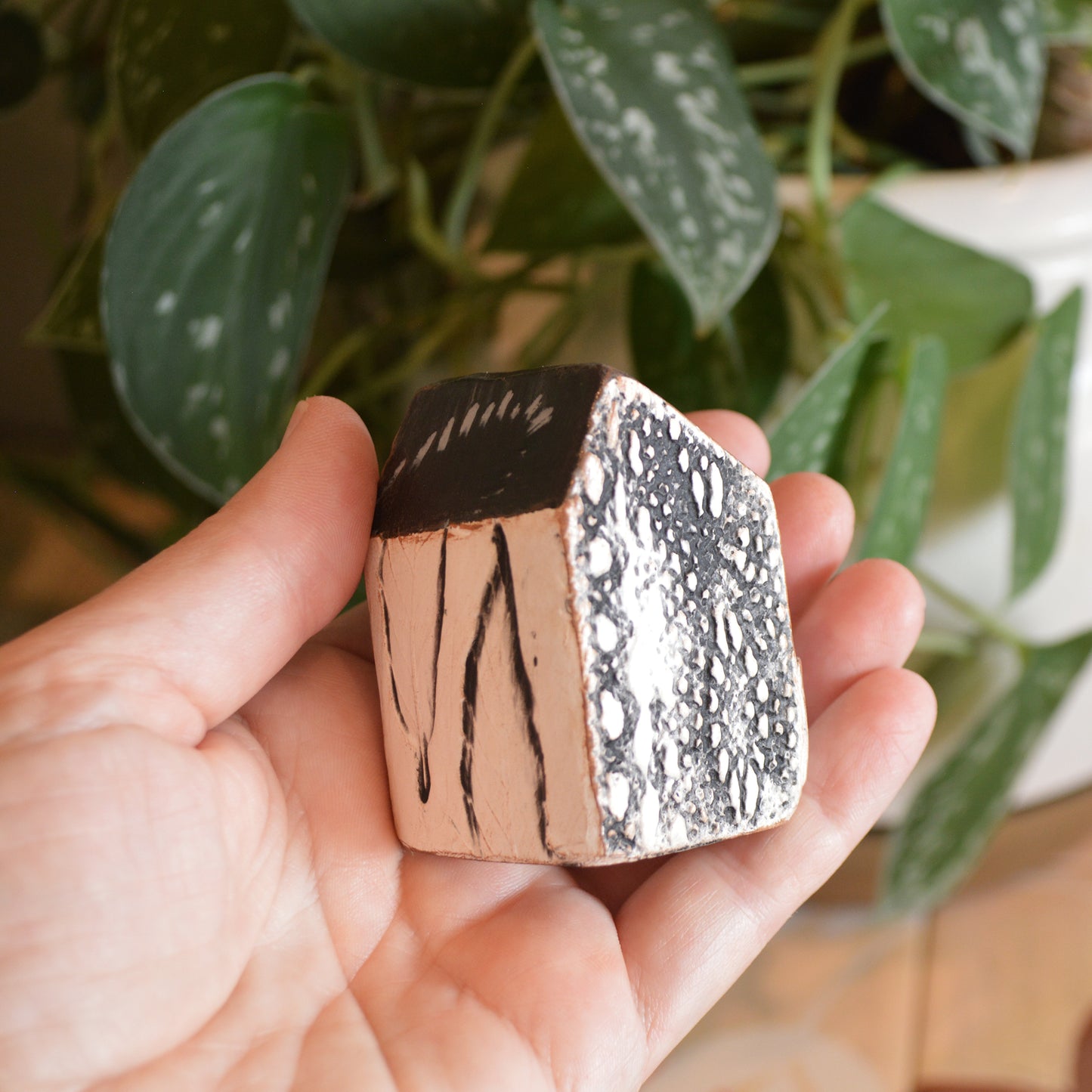 Modern Abstract B + W Mini House