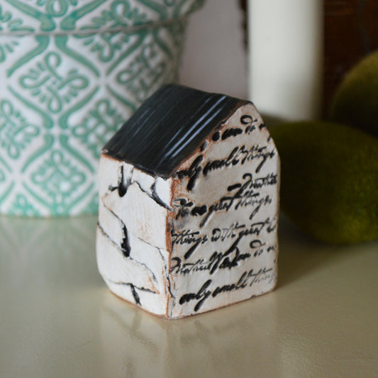 Modern Abstract B + W Mini House