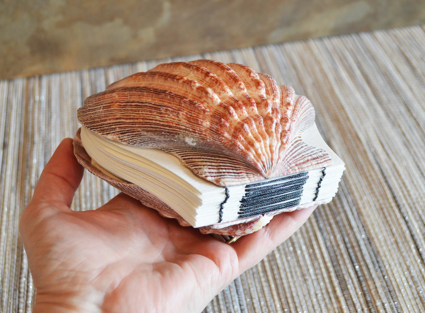 Genuine seashell lion's paw shell art journal / Blank book / watercolor paper sketchbook / handmade art books / Pecten shell