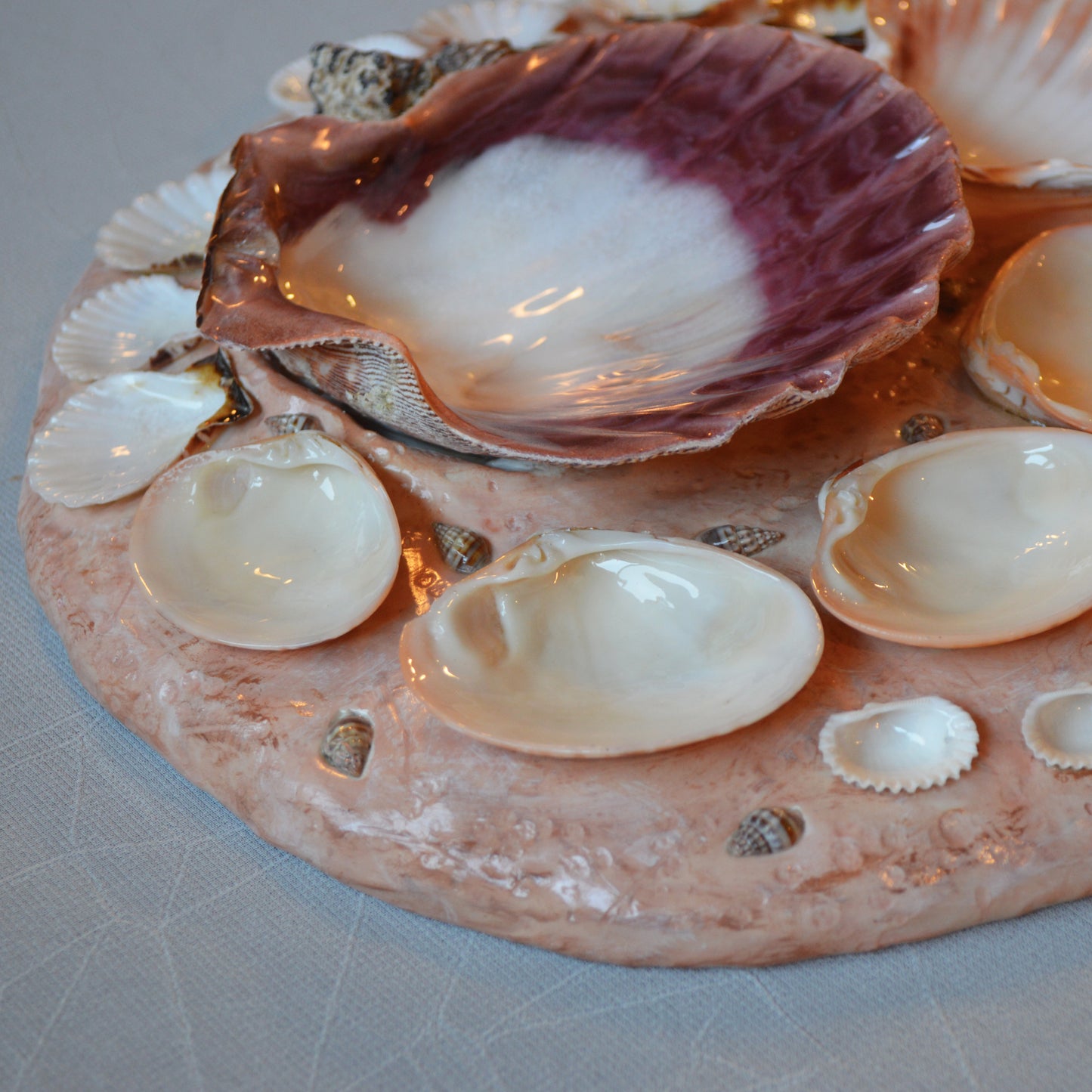 Seashell Paint Palette