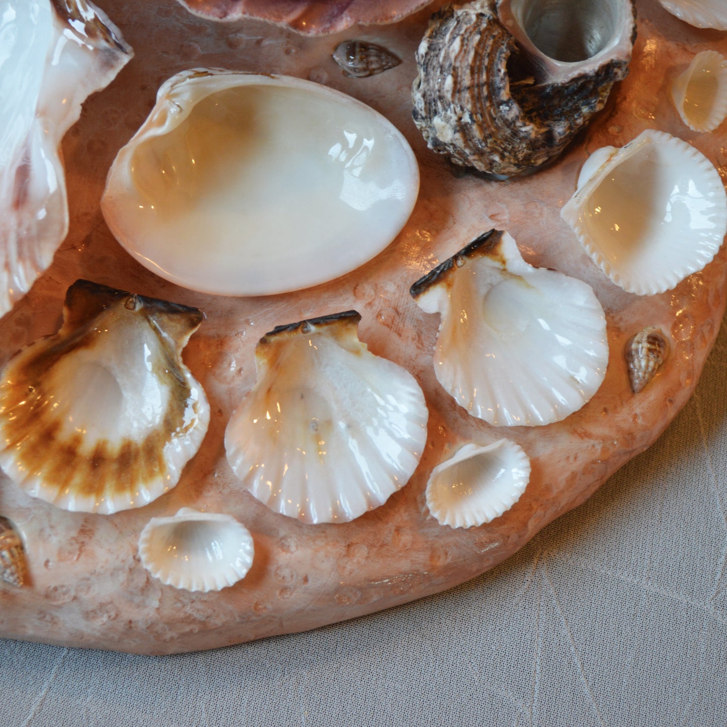 Seashell Paint Palette