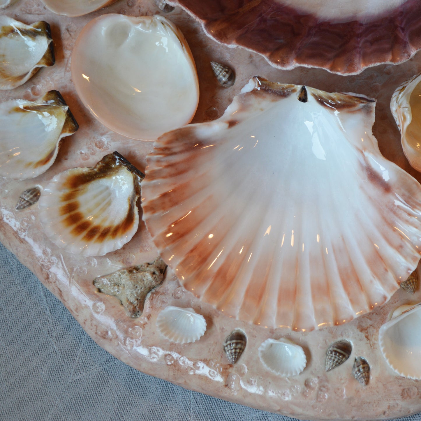 Seashell Paint Palette