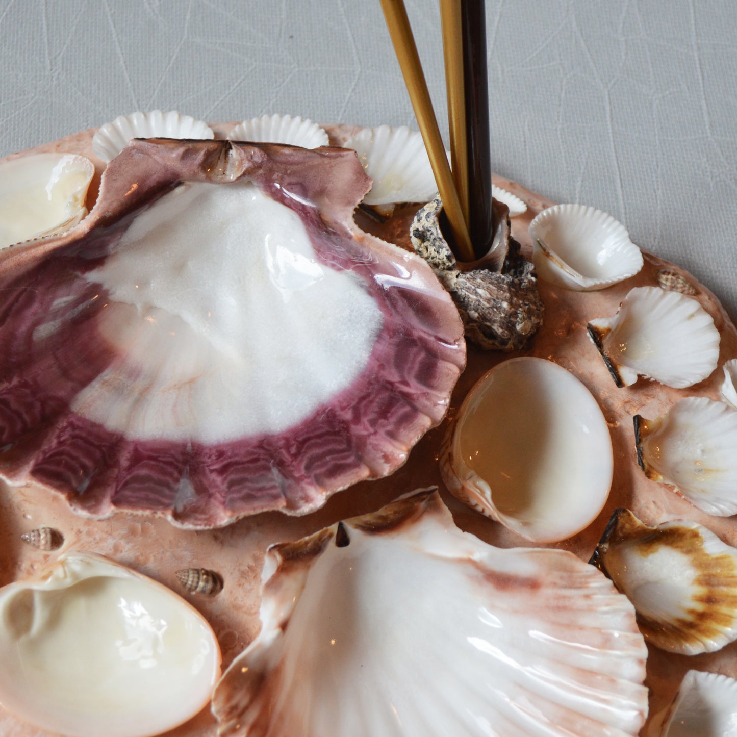 Seashell Paint Palette