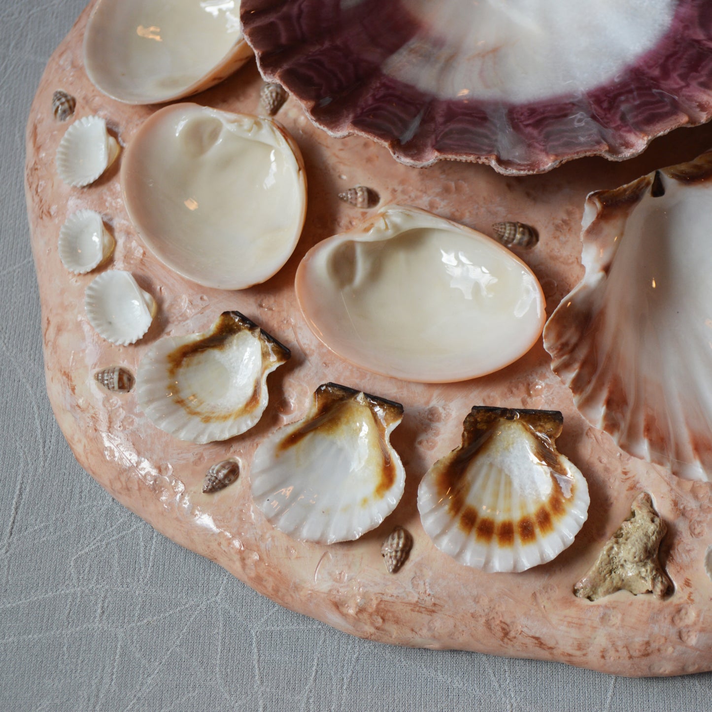 Seashell Paint Palette