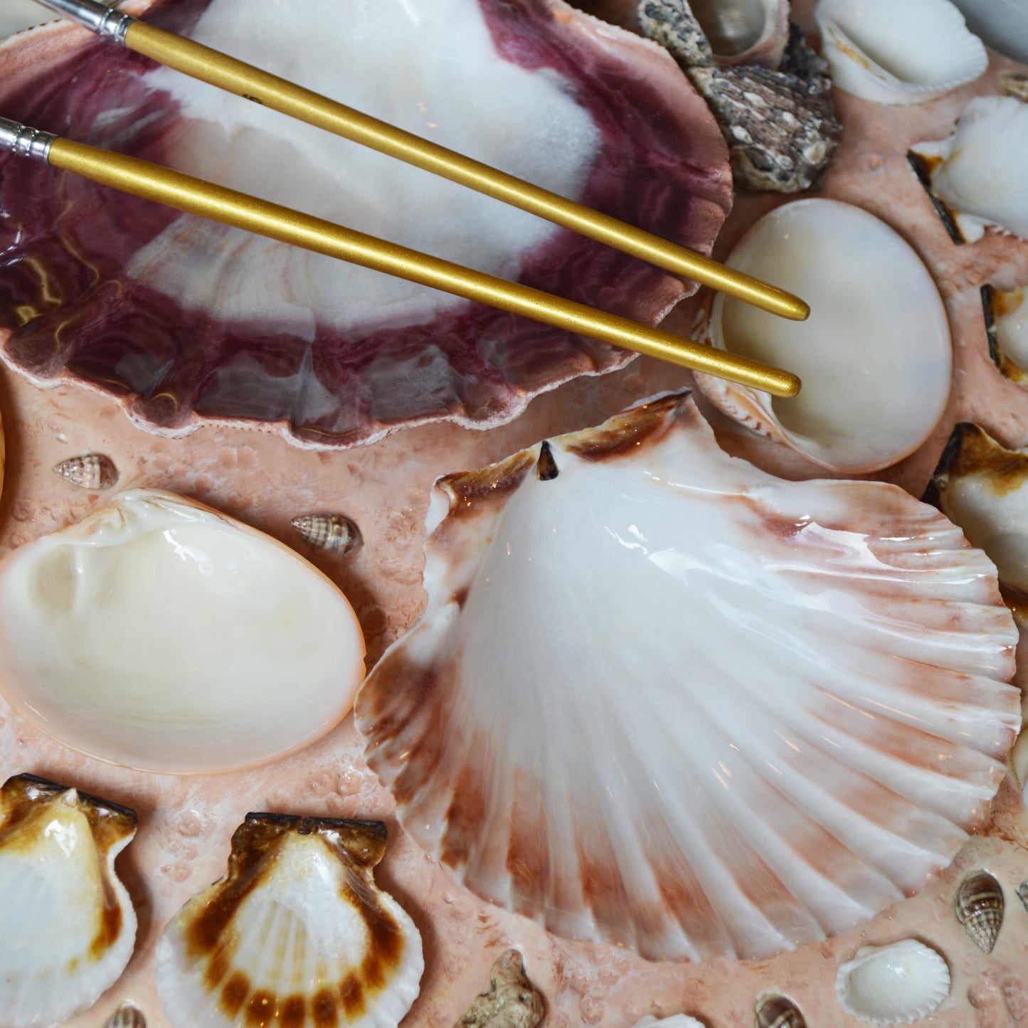 Seashell Paint Palette