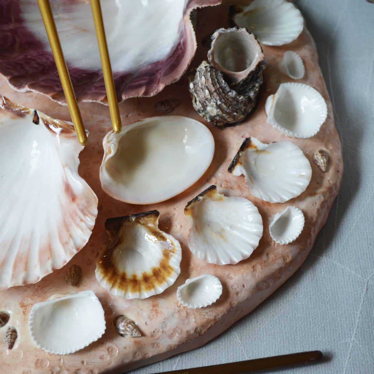 Seashell Paint Palette