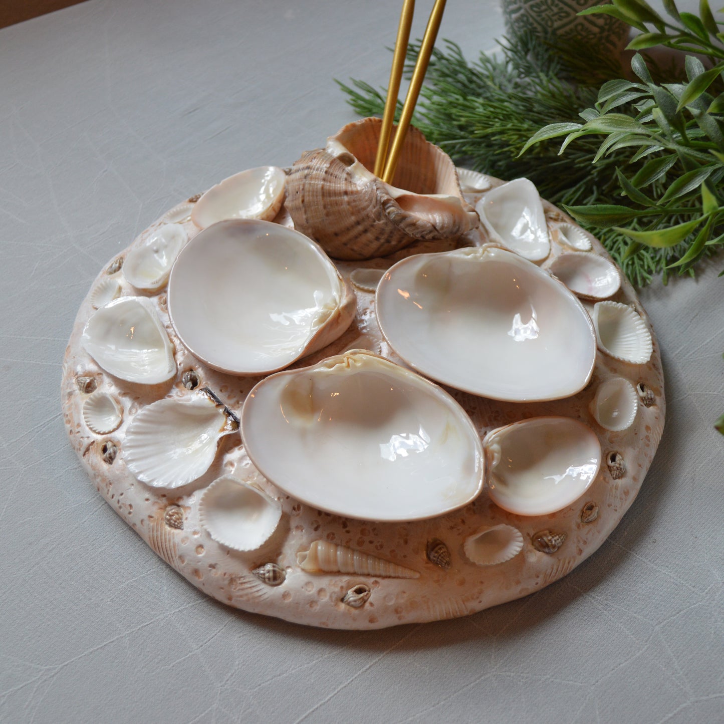 Seashell Paint Palette