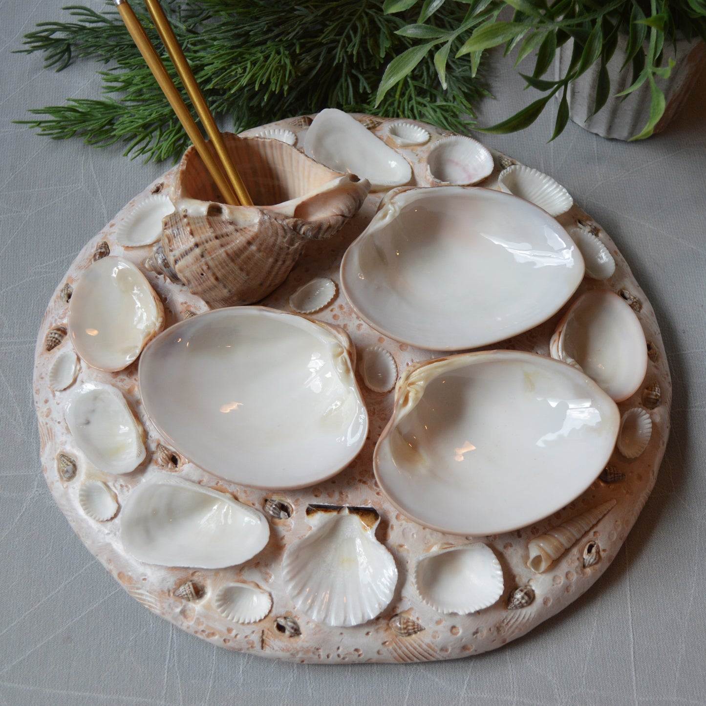 Seashell Paint Palette