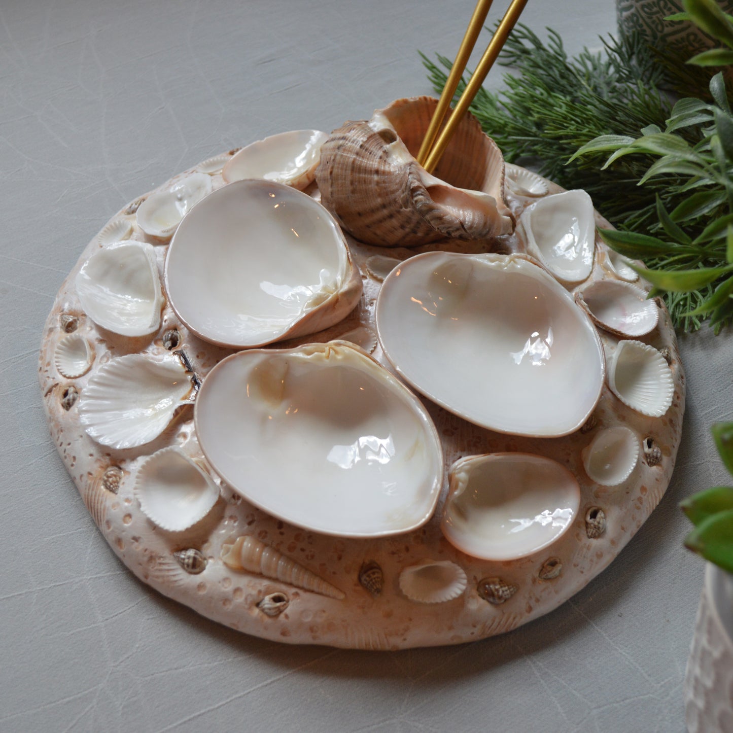Seashell Paint Palette