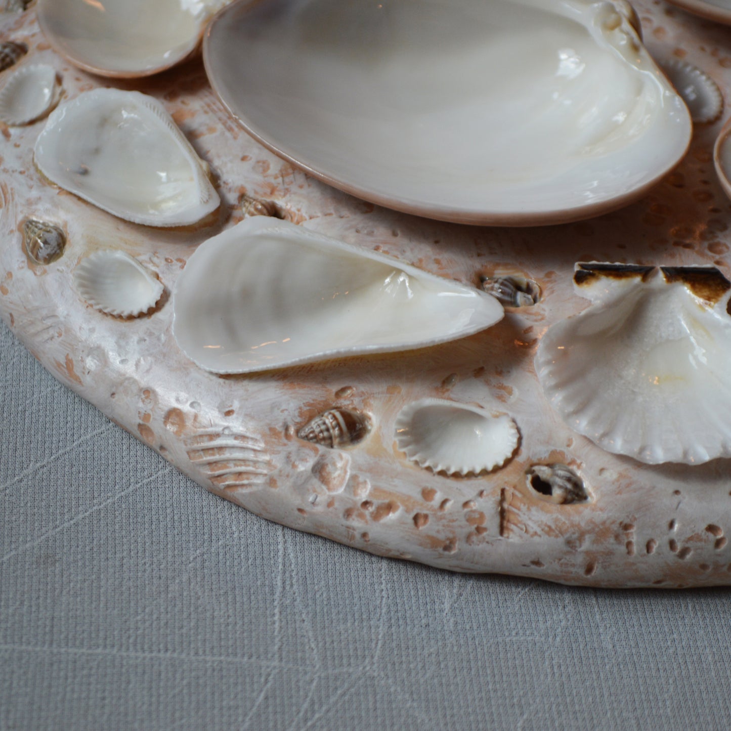 Seashell Paint Palette
