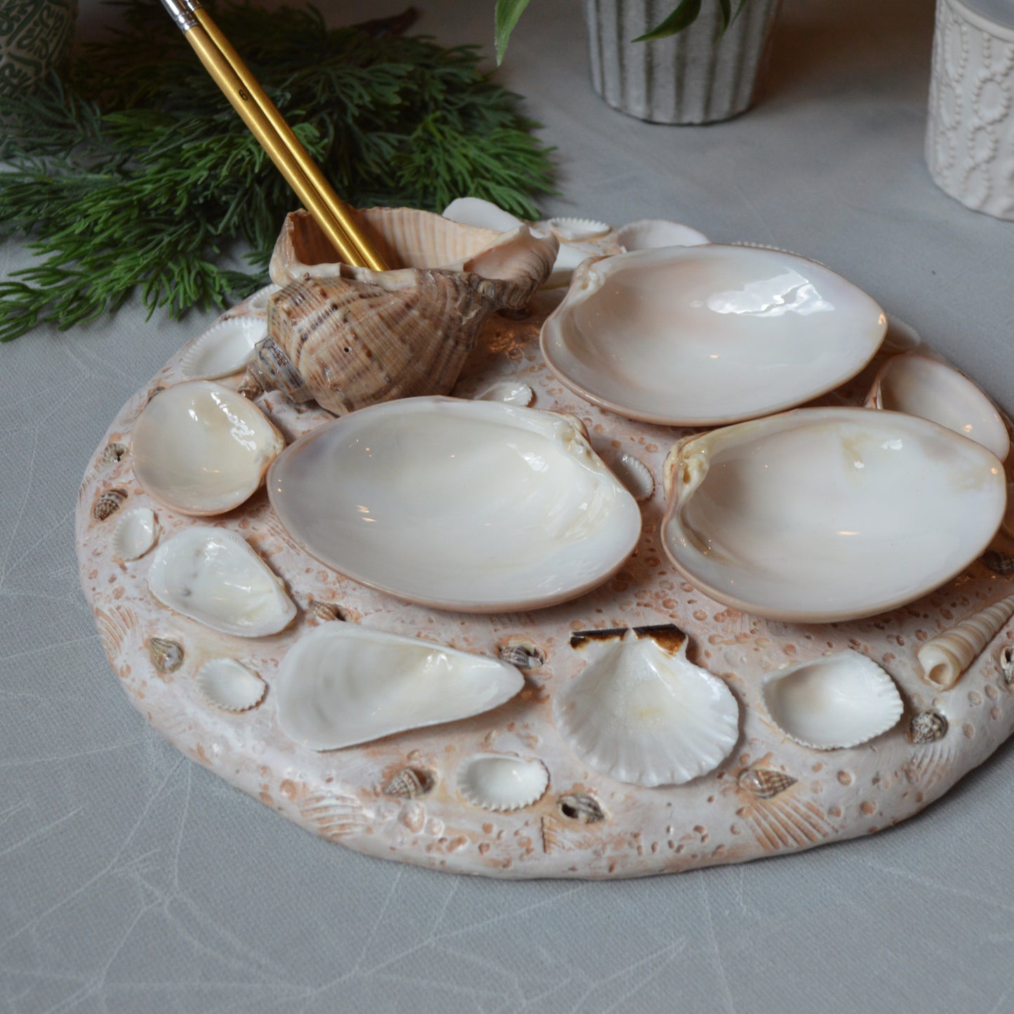 Seashell Paint Palette