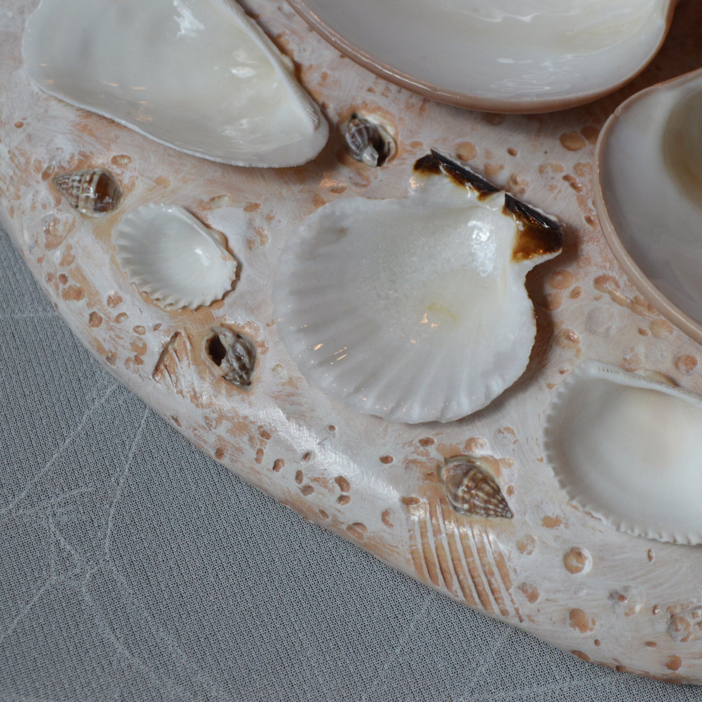 Seashell Paint Palette
