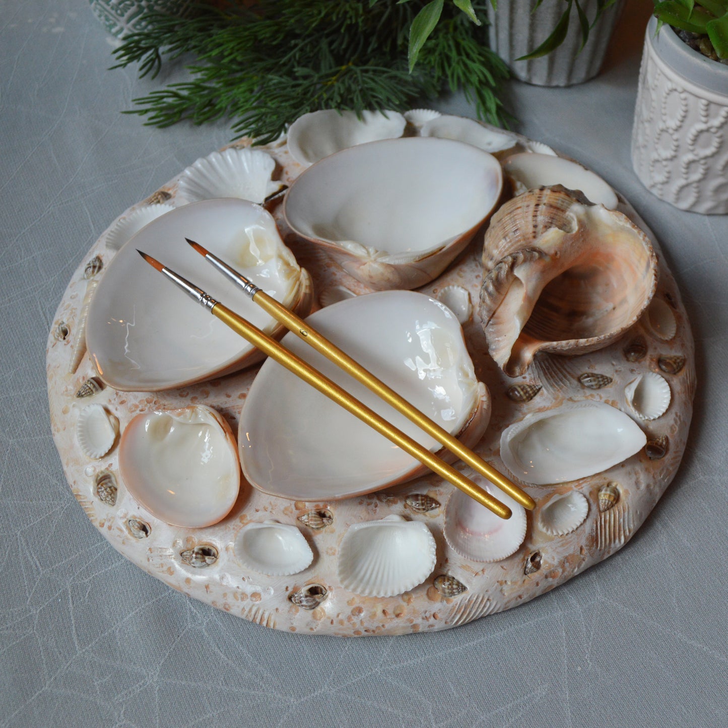 Seashell Paint Palette