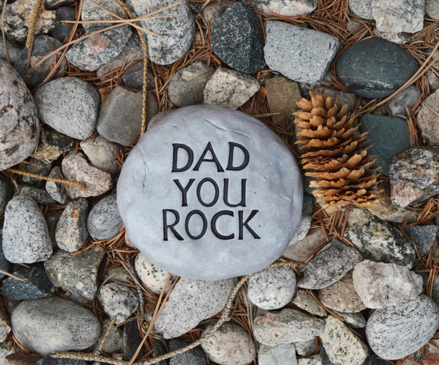 Gift for dad / funny dad gifts / Birthday gift for dad / dad you rock stone / paperweight desk decor / goofy dad humor / READY TO SHIP